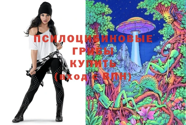 спиды Козельск
