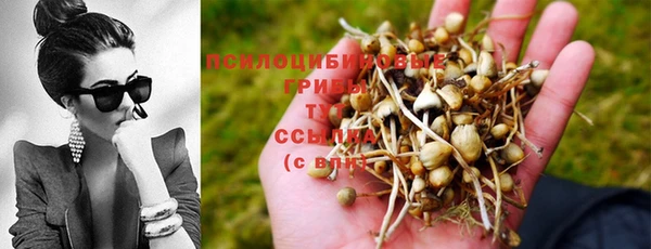 спиды Козельск