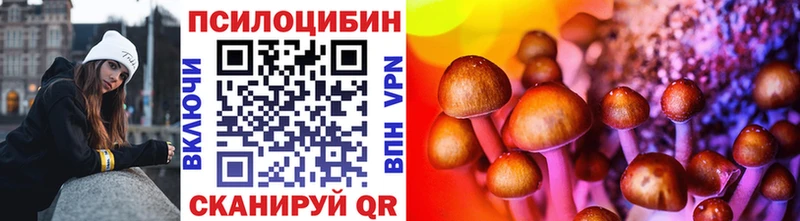 где можно купить Талдом Галлюциногенные грибы Magic Shrooms